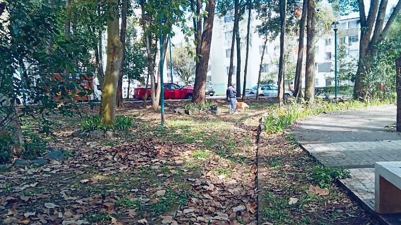 Vecinos de Jardines de Xalapa